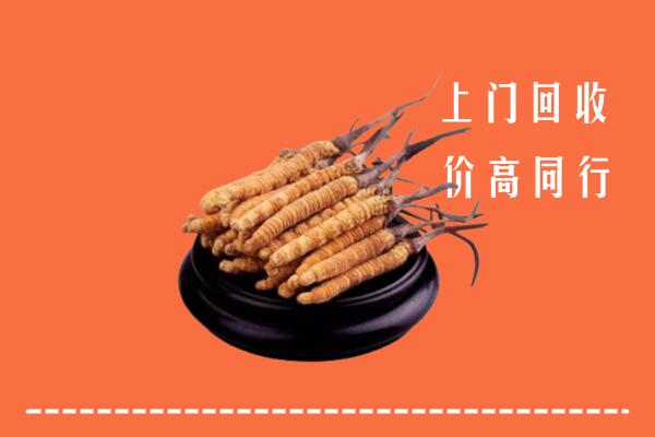高价求购：梧州市龙圩区回收散虫草