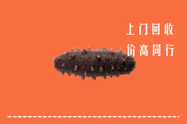 高价求购：梧州市龙圩区回收海参