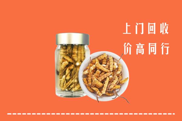 梧州市龙圩区回收冬虫夏草