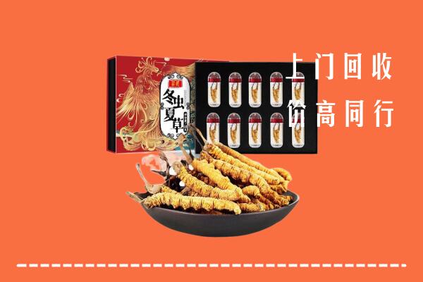 梧州市龙圩区回收虫草